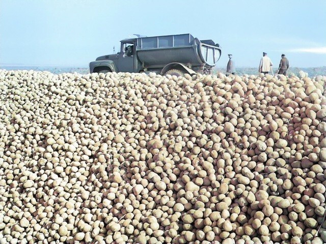 АвтоВсячина