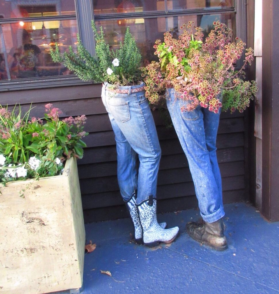 9. Джинсы превращаются в симпатичное кашпо