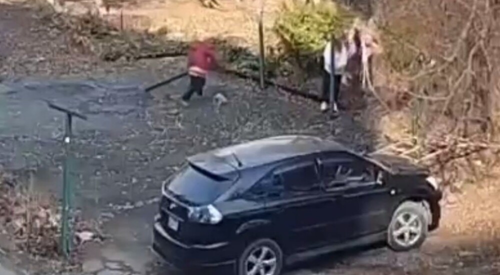 Пенсионерка побила соседей доской