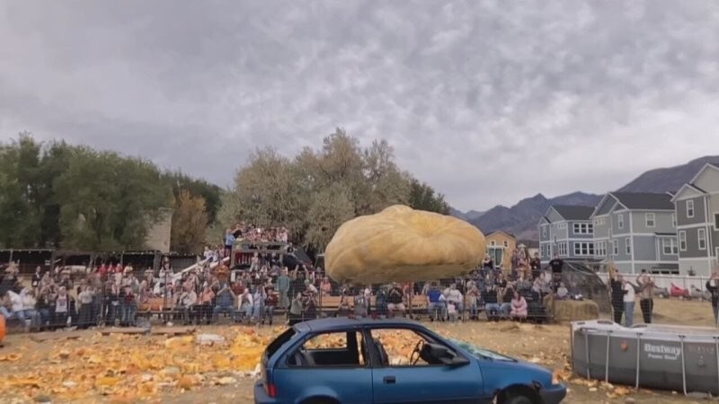 Американец разбил гигантскую тыкву об старую тачку