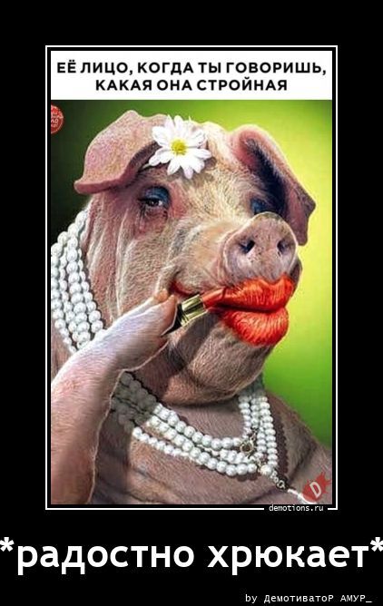 Радостно хрюкает