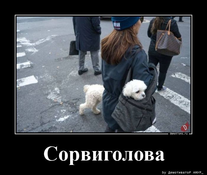 Сорвиголова