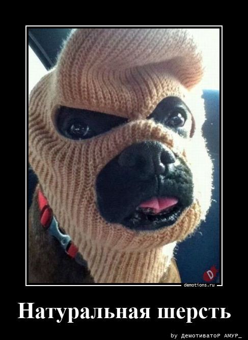 Натуральная шерсть