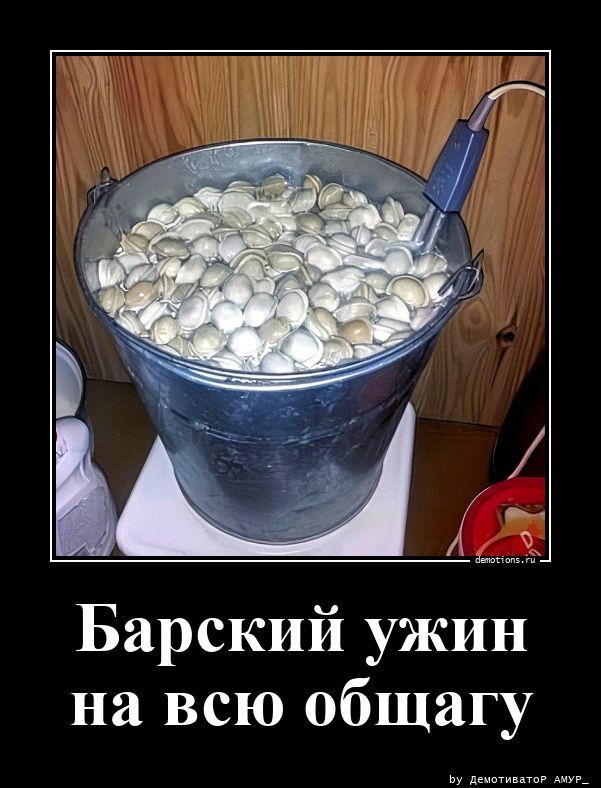 Барский ужин на всю общагу