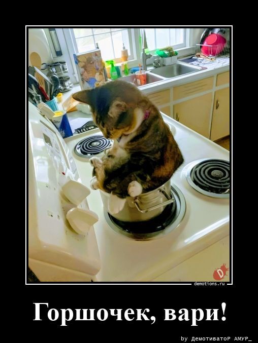 Горшочек, вари!