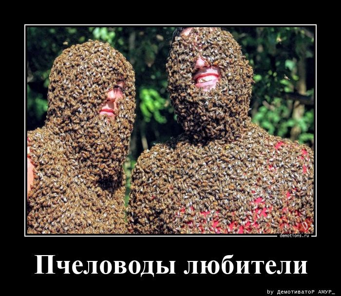 Пчеловоды любители