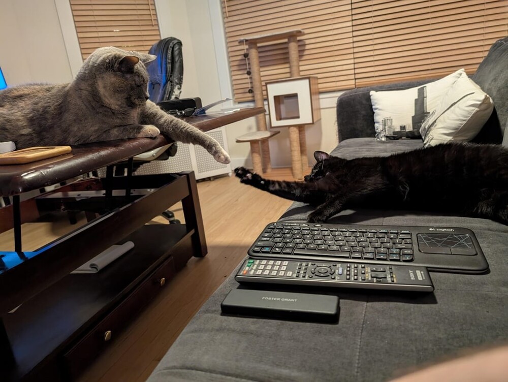 9. Новое видение «Сотворения Адама»