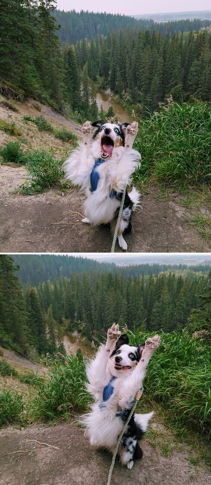 27. Мило умеет позировать 