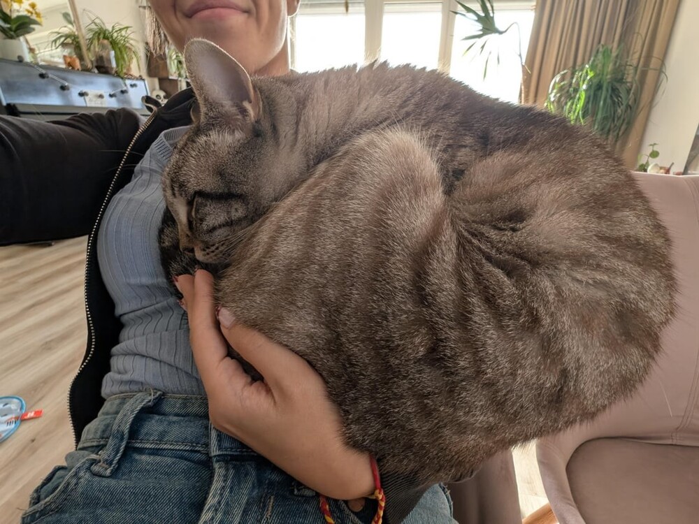 29. Таши не готов признать, что вырос 