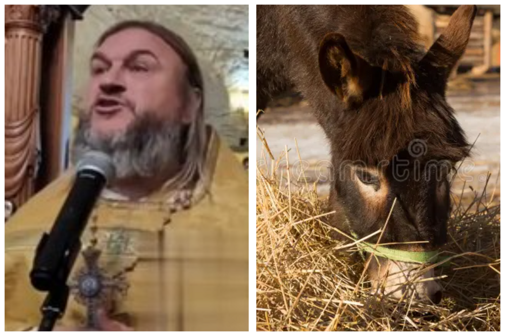 В РПЦ сравнили россиян с ленивыми ослами с "желудком вместо души"