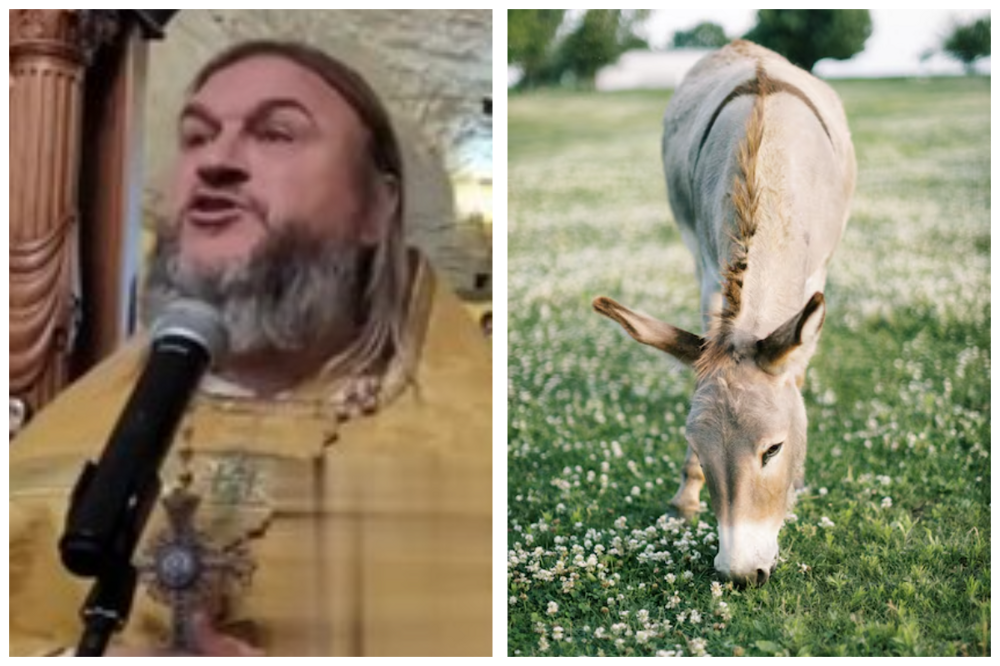 В РПЦ сравнили россиян с ленивыми ослами с "желудком вместо души"