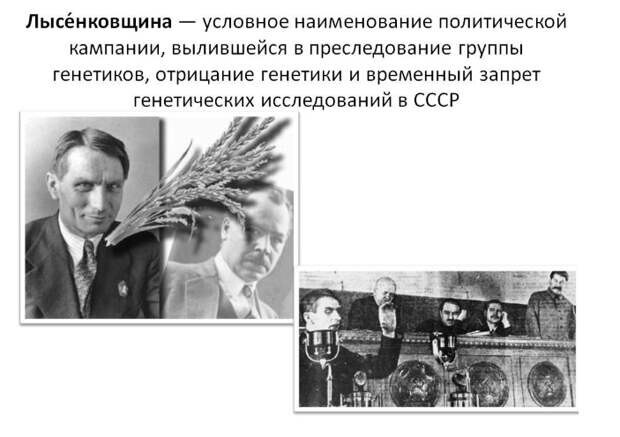 Почему в СССР так боялись генетики?