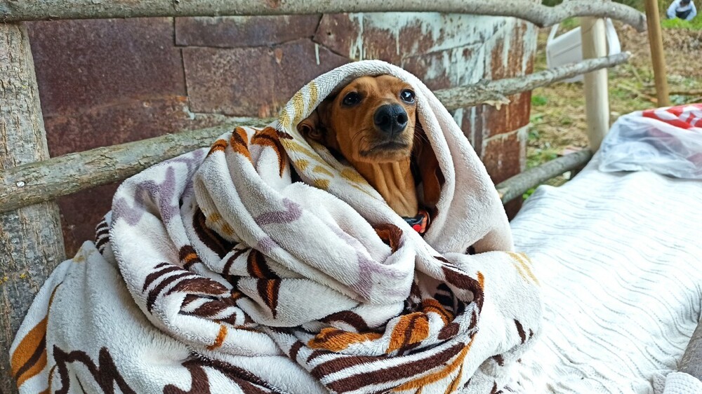 15. Кокон бытия