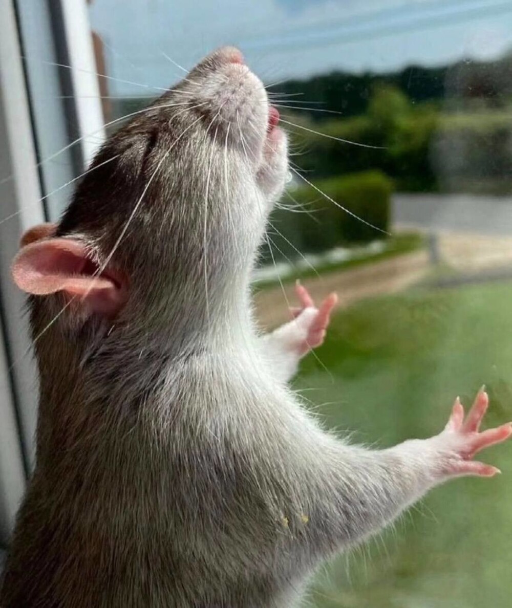 14. Концентрированное удовольствие