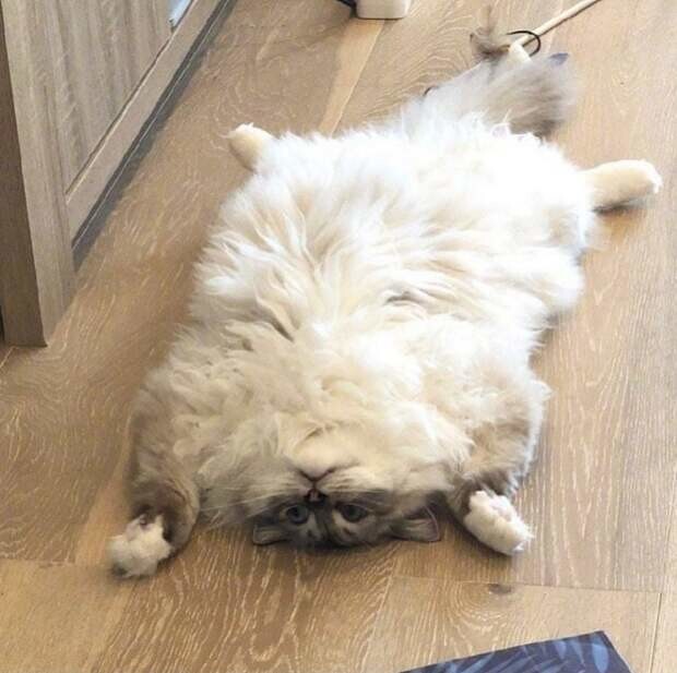 9. Любите ли вы релаксацию так, как люблю её я?