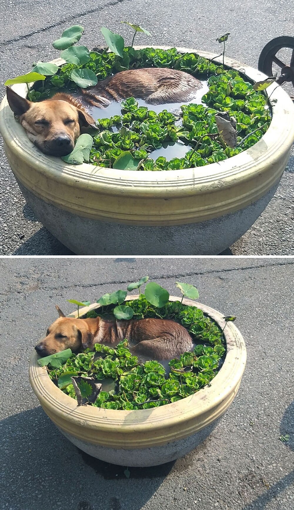 2. Денёк обещает быть жарким