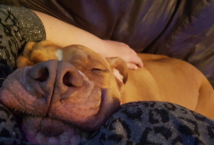 8. Эталон умиротворённой физии