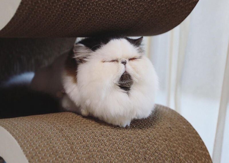 3. Если поймал дзен, то держи и не отпускай его