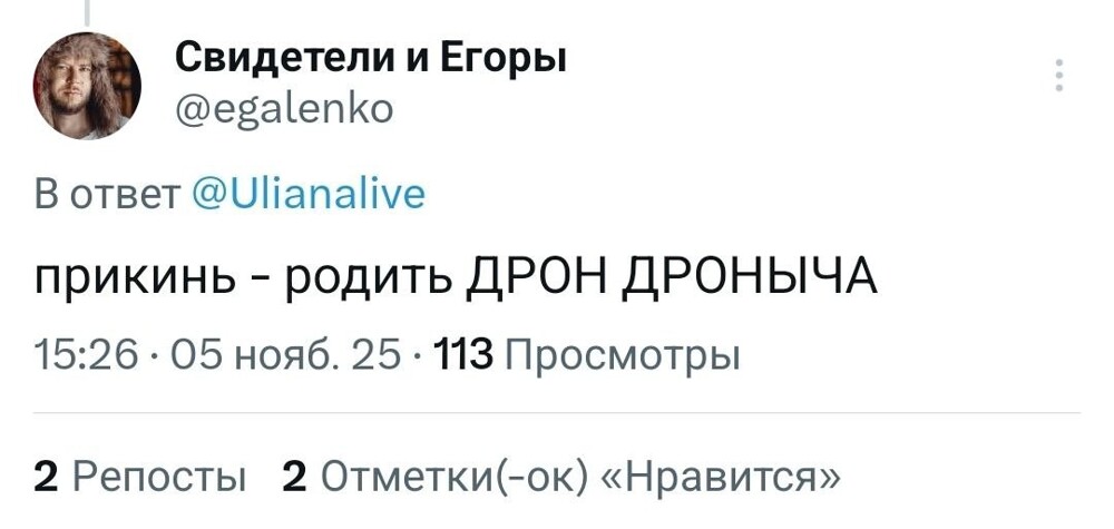 Екатерина Мизулина и SHAMAN официально стали мужем и женой