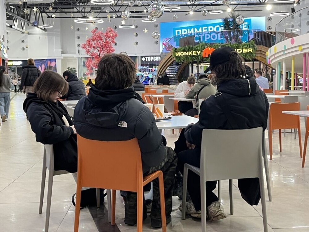 Депутат предложил оправлять разгуливающую в торговых центрах молодёжь на заводы