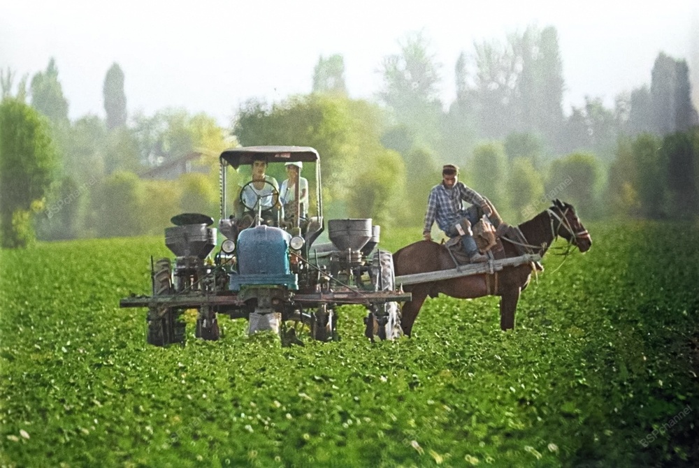 Подборка простых и потрясающих фотографий эпохи СССР