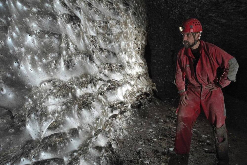 В пещере нашли гигантский "паучий город"