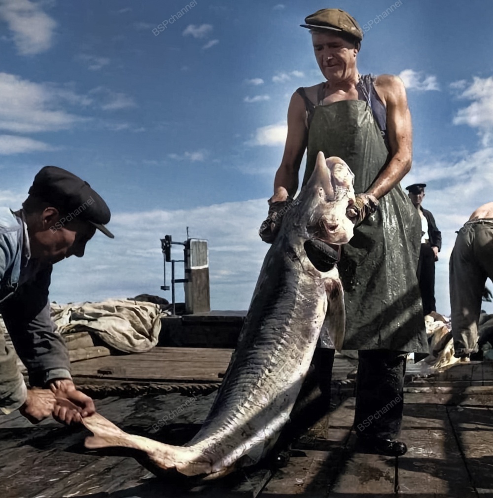 Подборка простых и потрясающих фотографий эпохи СССР