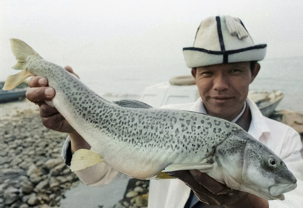 Подборка простых и потрясающих фотографий эпохи СССР