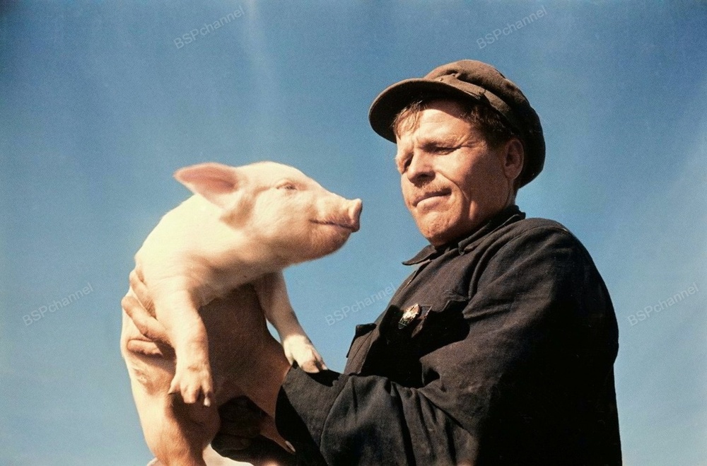 Подборка простых и потрясающих фотографий эпохи СССР