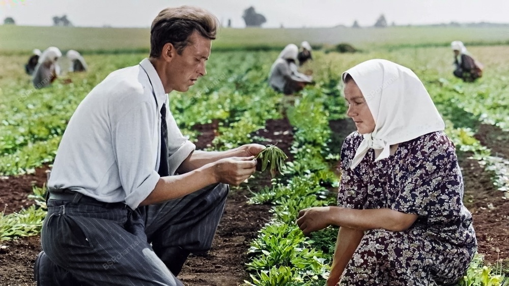Подборка простых и потрясающих фотографий эпохи СССР