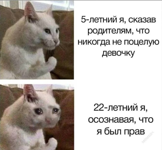 Смешные картинки