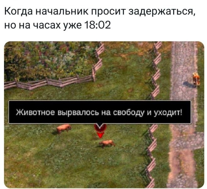 Смешные картинки