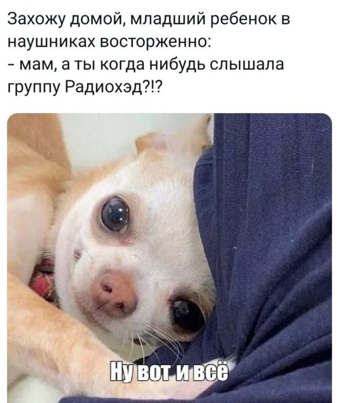 Смешные картинки