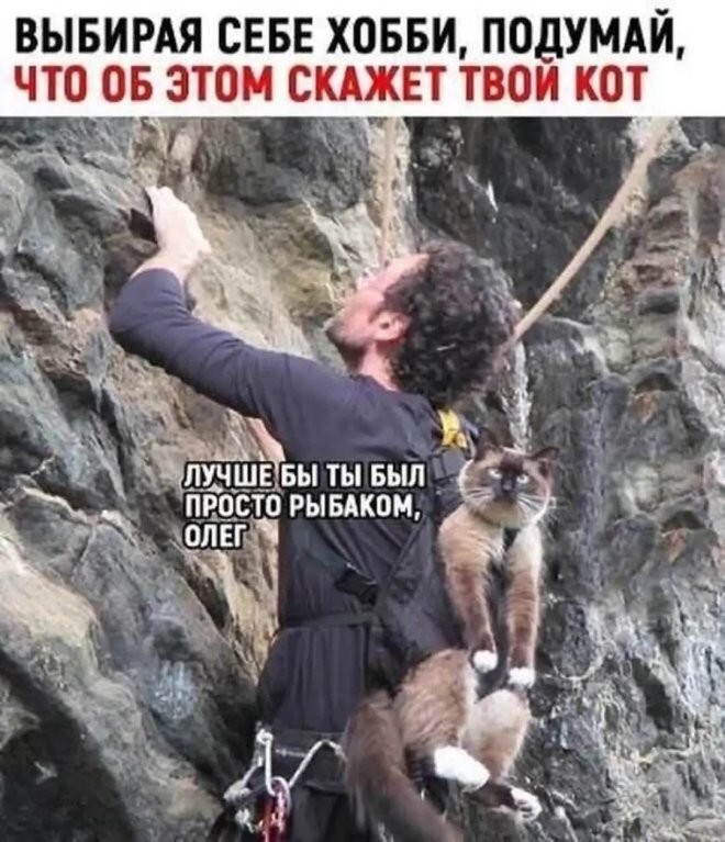 Смешные картинки