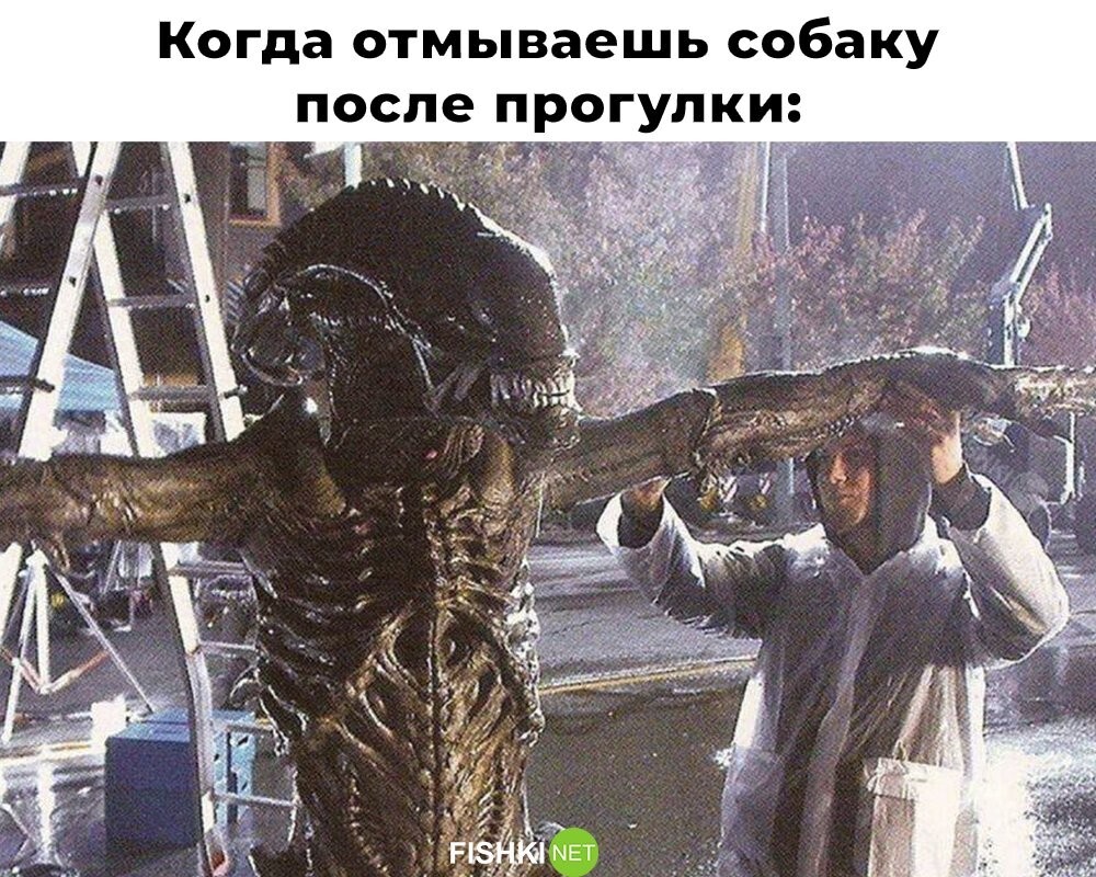 Смешные картинки