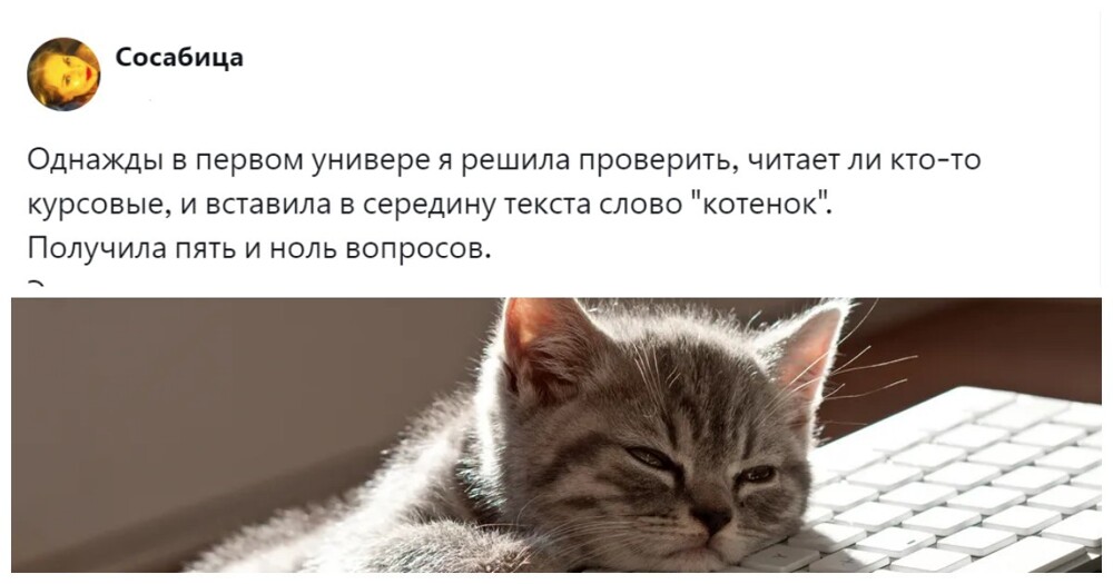 "А втулку мы сделаем деревянной, потому что никто до этого места не дочитает": пользователи обсуждают пасхалки в курсовых
