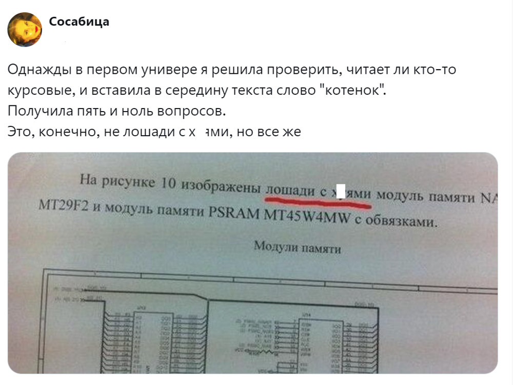 1. Котёнок - это не лошадь