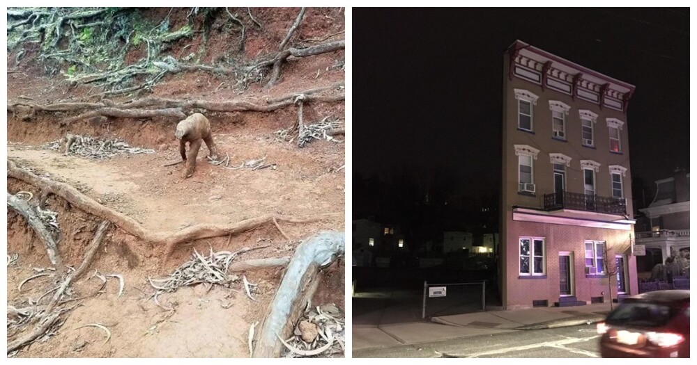 20 ярких примеров того, как виртуозно глаза и мозг могут нас обманывать, создавая новую реальность