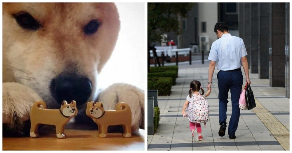 В Японии введут четырёхдневную рабочую неделю для борьбы с низкой рождаемостью