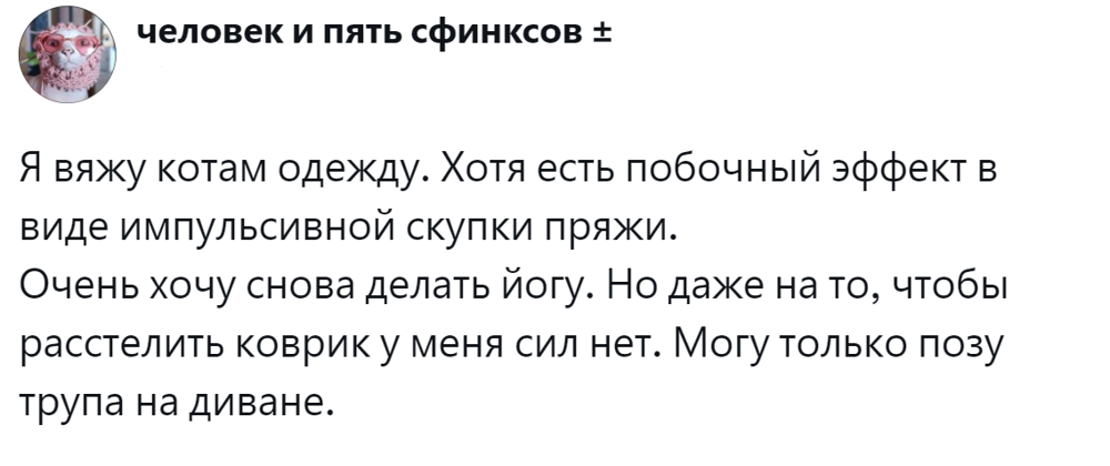 7. Котики наше всё