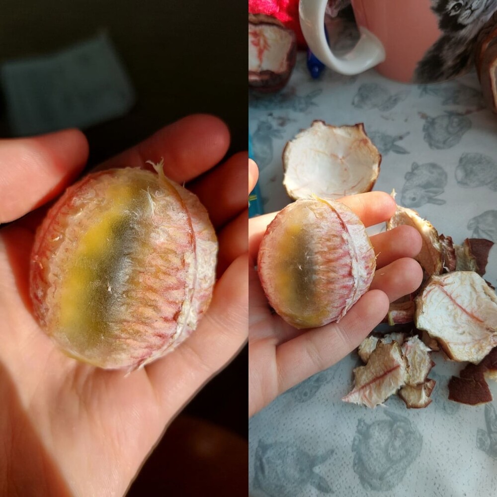 25. Я очистил маракуйю