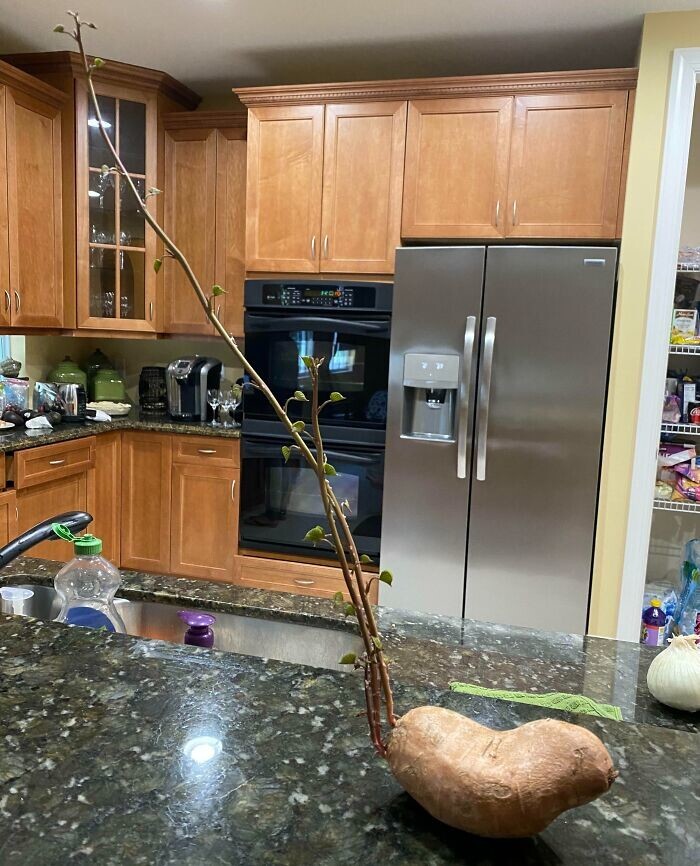 28. Всего за 3 недели 