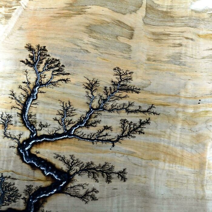 30. Вот что произойдёт, если пустить по древесине высокое напряжение