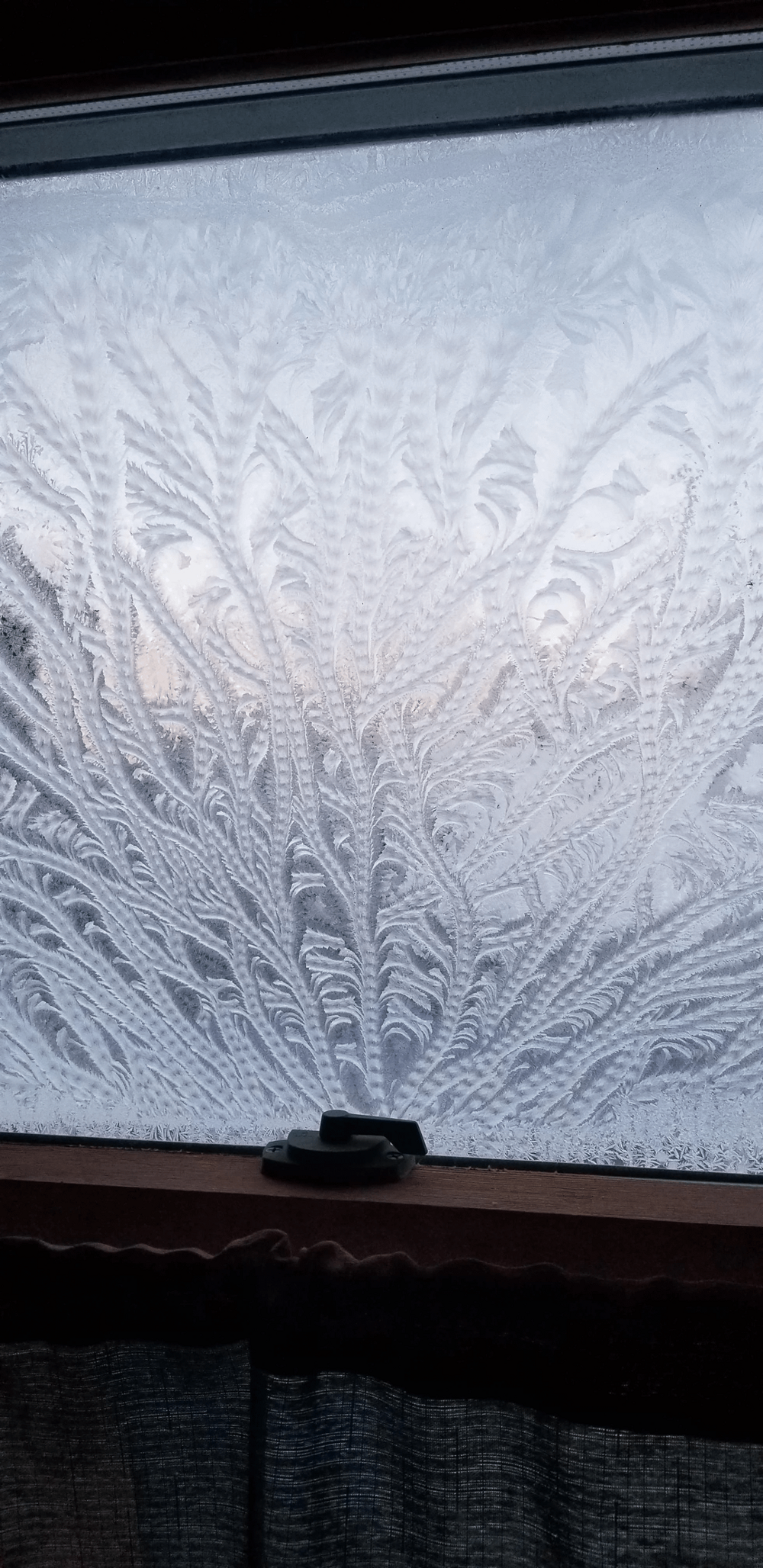 6. Морозные узоры