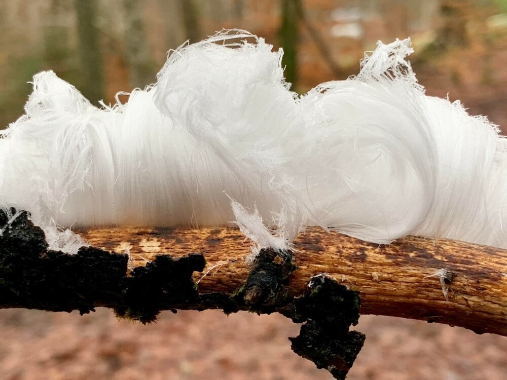 8. Пар, исходящий от ветки, превращается в хрупкие ледяные нити