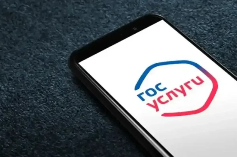 "Вероятность является высокой": в России могут ввести вход в интернет с авторизацией через "Госуслуги"