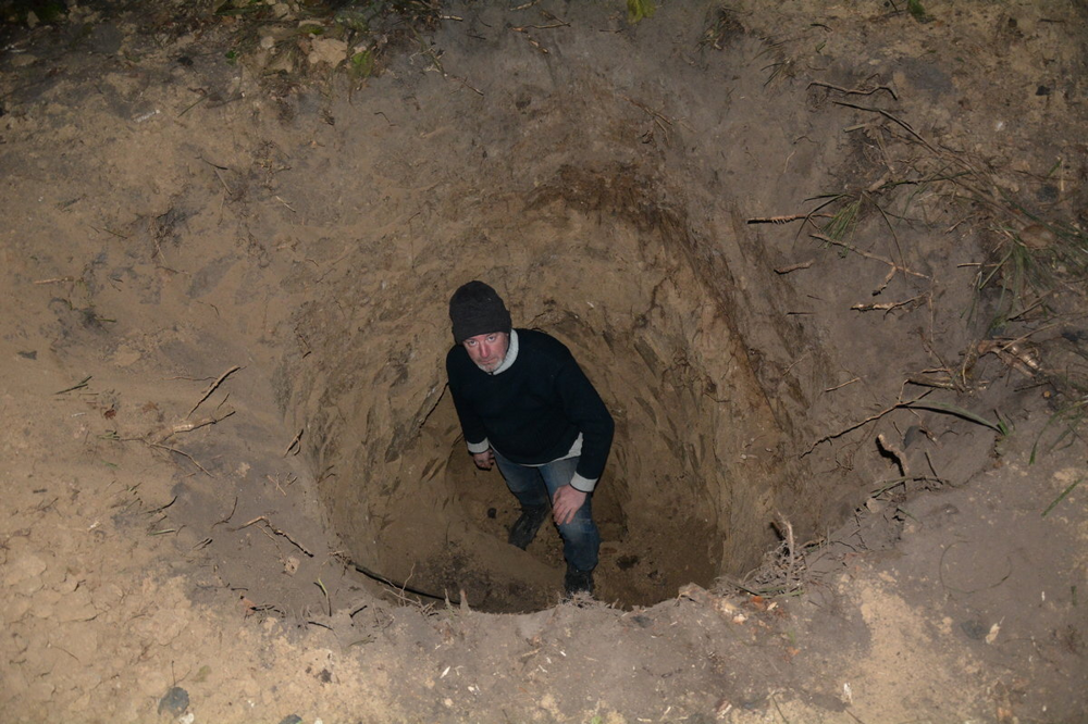 Барсук: обитает по всей России, но вы его не встретите