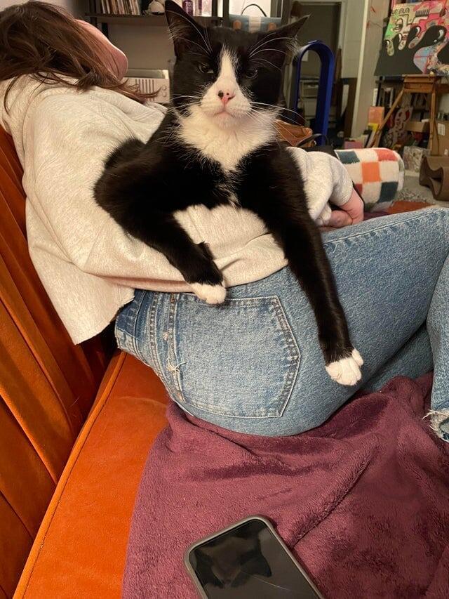 Недовольный гигант