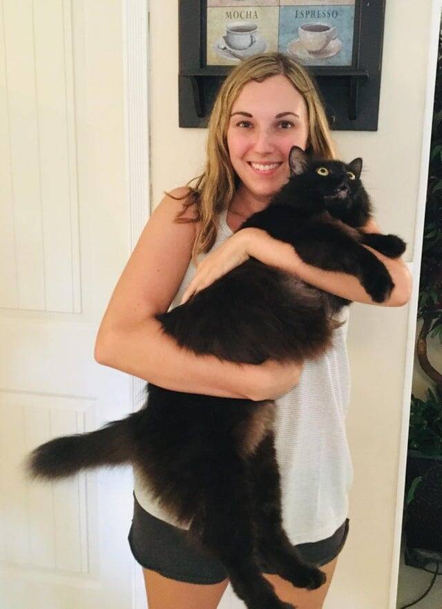 Сверхмассивная чёрная дыра