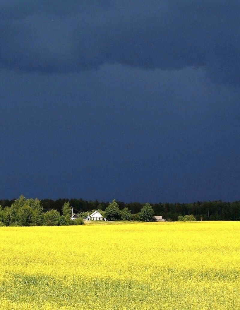 10. Краски жизни